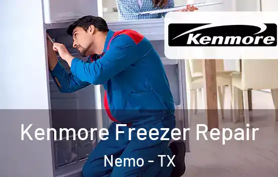  Kenmore Freezer Repair Nemo - TX
