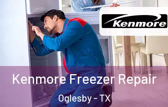  Kenmore Freezer Repair Oglesby - TX