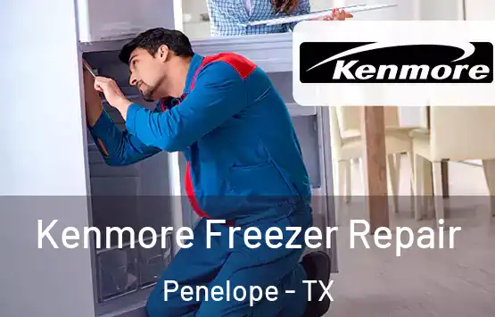  Kenmore Freezer Repair Penelope - TX