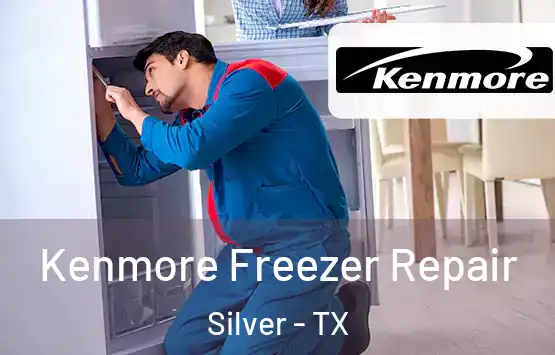  Kenmore Freezer Repair Silver - TX