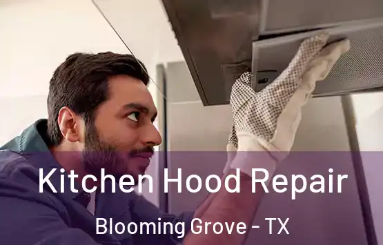  Kitchen Hood Repair Blooming Grove - TX