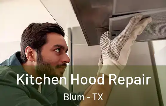  Kitchen Hood Repair Blum - TX
