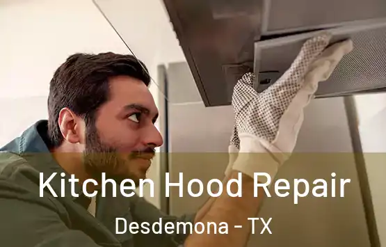  Kitchen Hood Repair Desdemona - TX
