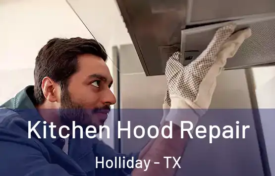  Kitchen Hood Repair Holliday - TX
