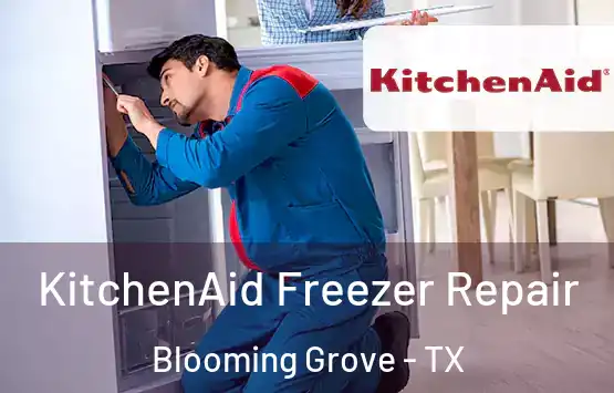  KitchenAid Freezer Repair Blooming Grove - TX