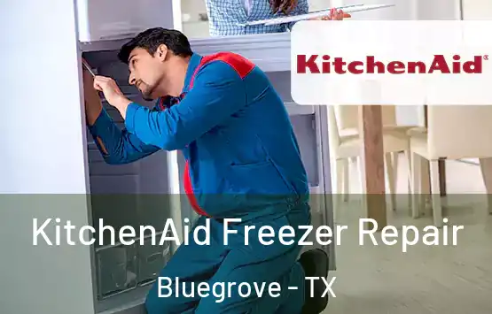  KitchenAid Freezer Repair Bluegrove - TX