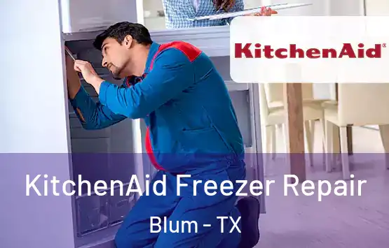  KitchenAid Freezer Repair Blum - TX
