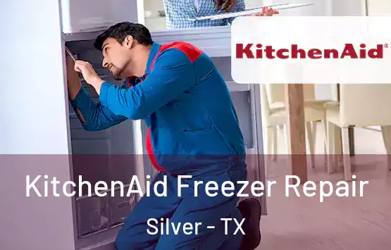  KitchenAid Freezer Repair Silver - TX