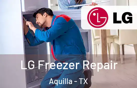  LG Freezer Repair Aquilla - TX