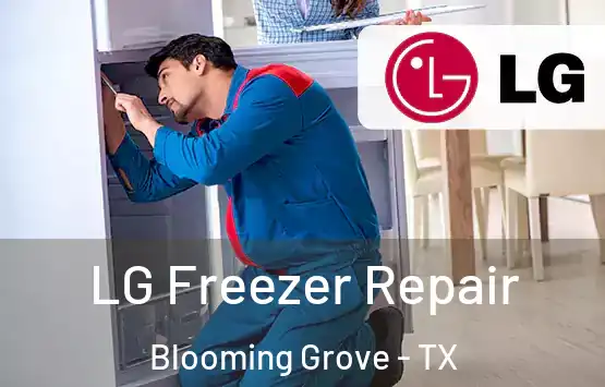  LG Freezer Repair Blooming Grove - TX