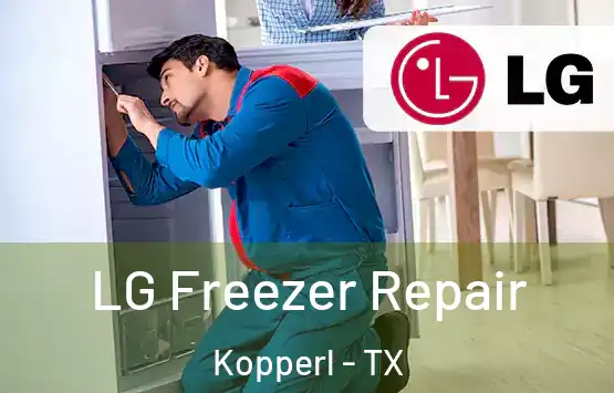  LG Freezer Repair Kopperl - TX