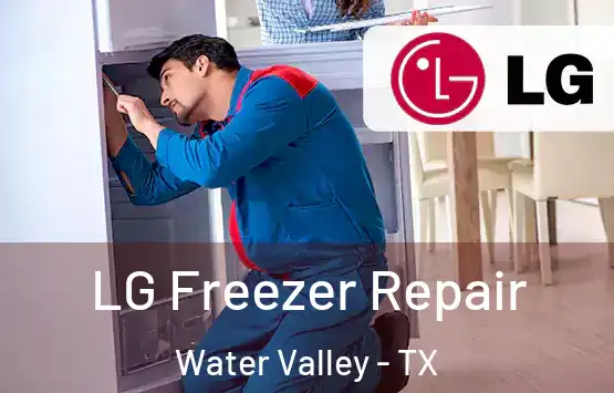  LG Freezer Repair Water Valley - TX