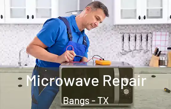  Microwave Repair Bangs - TX
