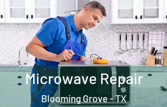  Microwave Repair Blooming Grove - TX