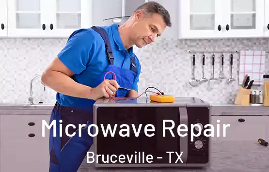  Microwave Repair Bruceville - TX