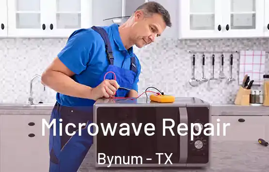  Microwave Repair Bynum - TX