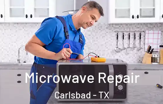  Microwave Repair Carlsbad - TX