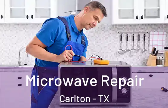  Microwave Repair Carlton - TX