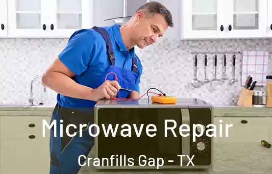  Microwave Repair Cranfills Gap - TX
