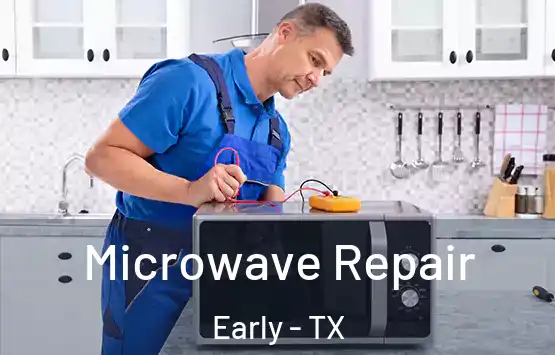 Microwave Repair Early - TX