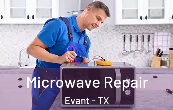  Microwave Repair Evant - TX