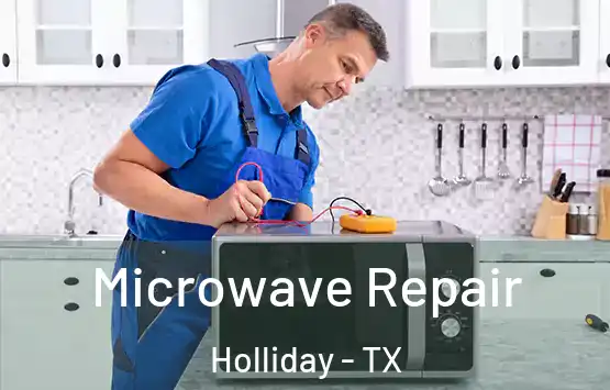  Microwave Repair Holliday - TX