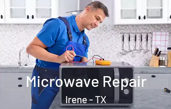  Microwave Repair Irene - TX
