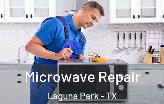  Microwave Repair Laguna Park - TX