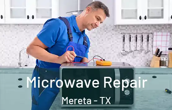  Microwave Repair Mereta - TX