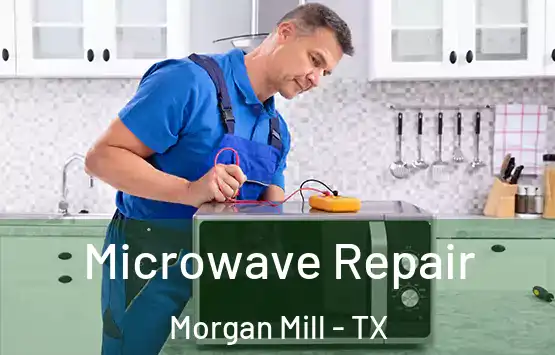  Microwave Repair Morgan Mill - TX