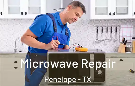  Microwave Repair Penelope - TX