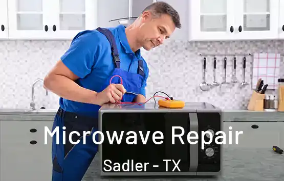 Microwave Repair Sadler - TX