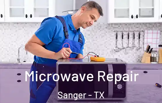  Microwave Repair Sanger - TX
