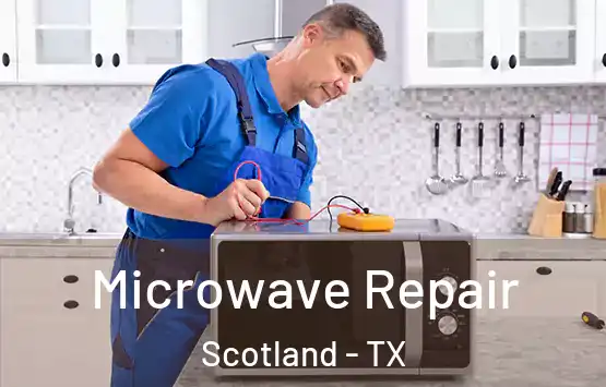  Microwave Repair Scotland - TX