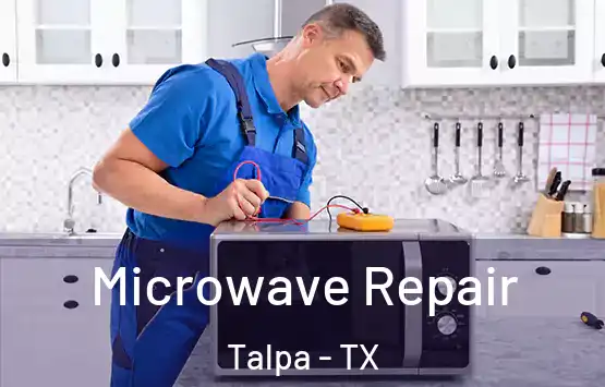  Microwave Repair Talpa - TX