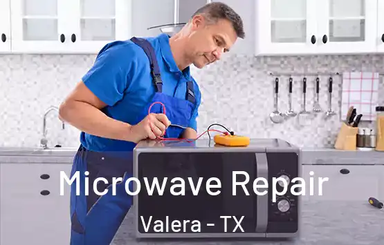  Microwave Repair Valera - TX