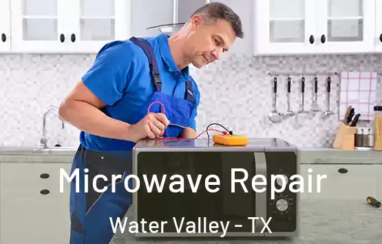  Microwave Repair Water Valley - TX