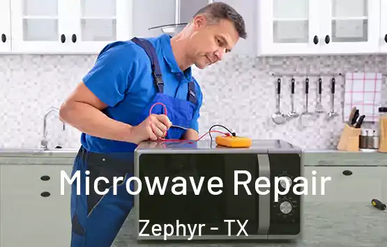  Microwave Repair Zephyr - TX