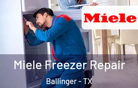  Miele Freezer Repair Ballinger - TX