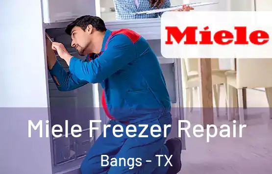  Miele Freezer Repair Bangs - TX