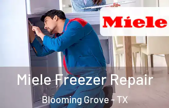  Miele Freezer Repair Blooming Grove - TX