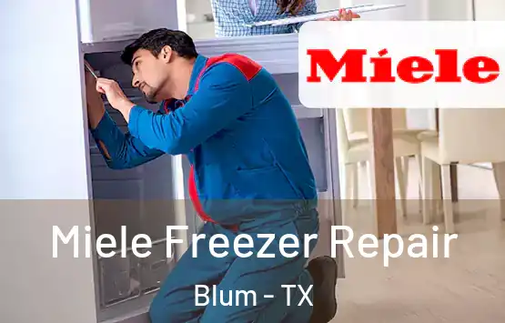  Miele Freezer Repair Blum - TX