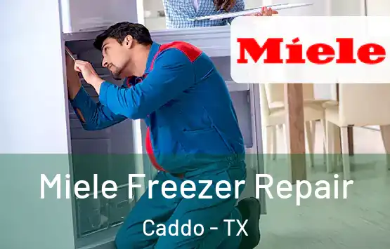  Miele Freezer Repair Caddo - TX