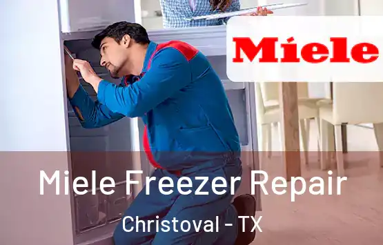  Miele Freezer Repair Christoval - TX
