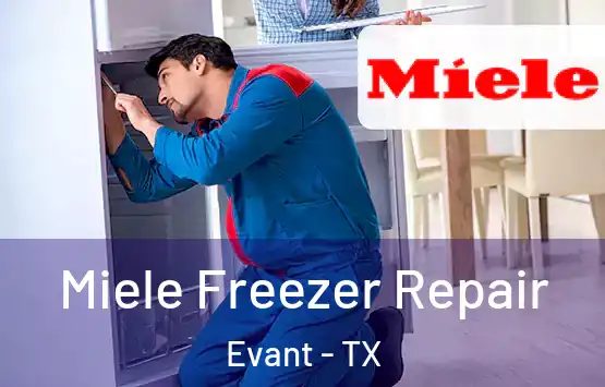  Miele Freezer Repair Evant - TX
