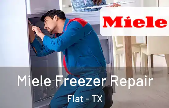  Miele Freezer Repair Flat - TX