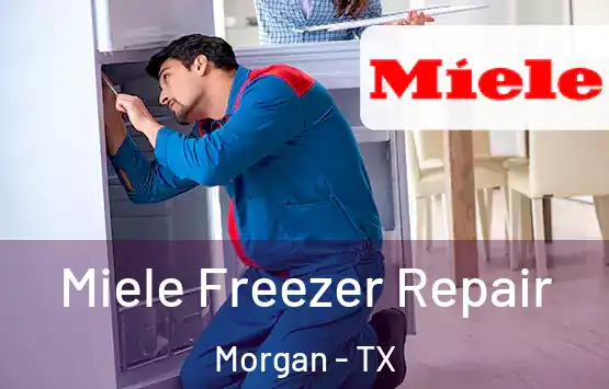  Miele Freezer Repair Morgan - TX