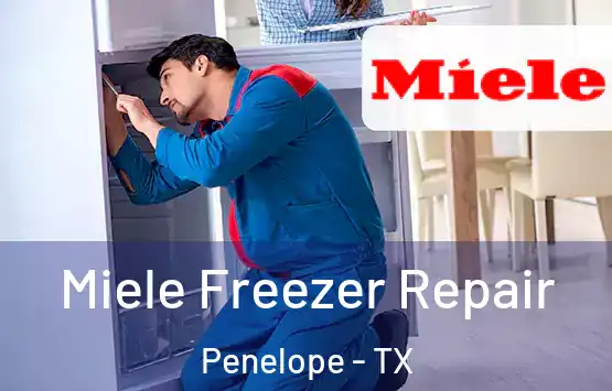  Miele Freezer Repair Penelope - TX