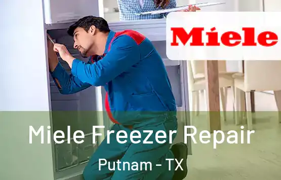  Miele Freezer Repair Putnam - TX