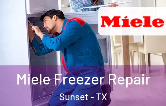  Miele Freezer Repair Sunset - TX